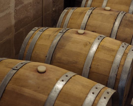winery-lomartire-barrique